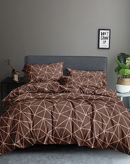 Постельное белье Евро с двумя наволочками 50х70 (полисатин набивной, 80г/м2), расцветка ассорти